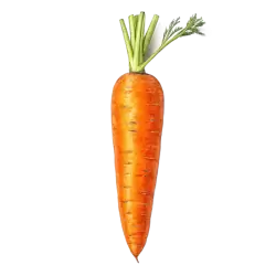 Imagen PNG para descargar